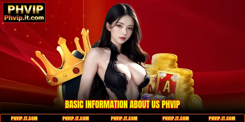 Basic information About Us PHVIP