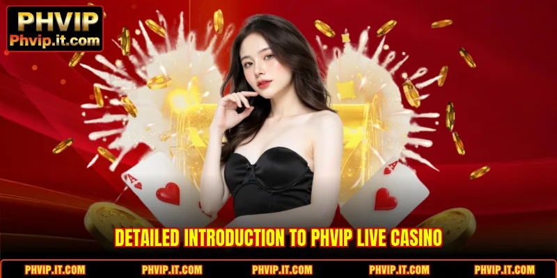 Detailed introduction to PHVIP Live Casino