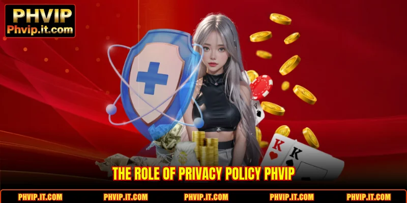 The role of Privacy Policy PHVIP